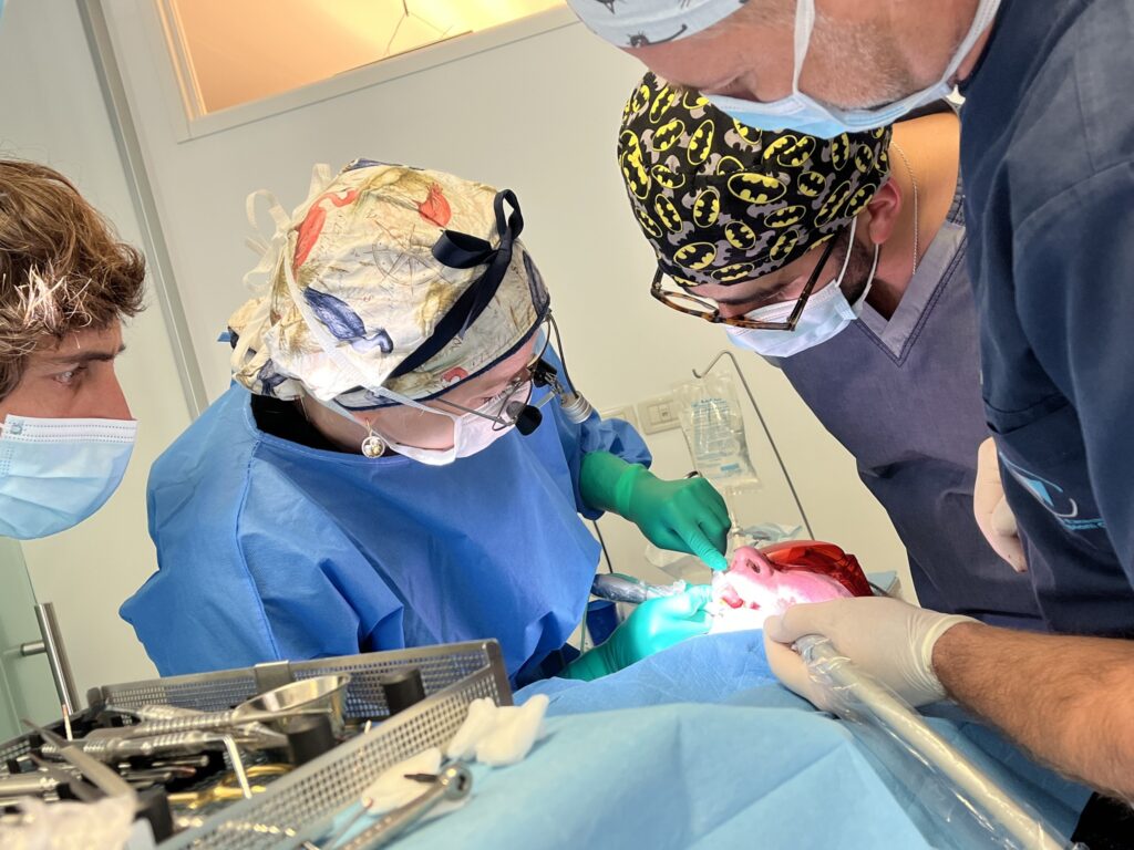 Otepää Hambakliinik_koolitus